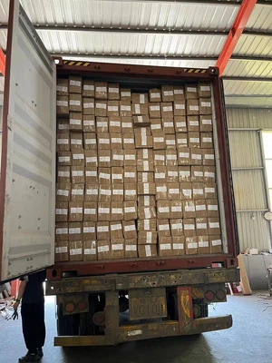 2025-01-09-1249451 2025-01-09-1249451